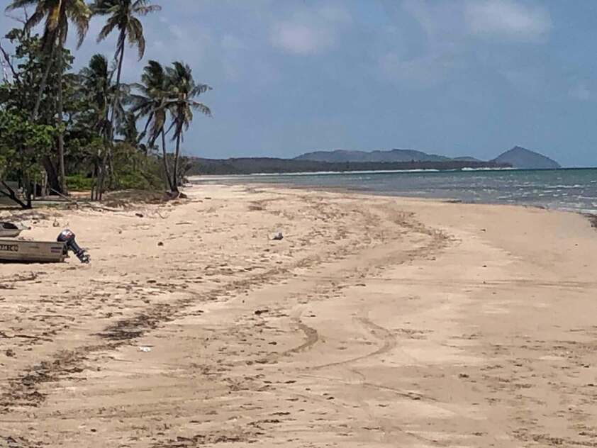 Rainforest Acreage FOR SALE. Newly Subdivided Only 10 BLOCKS (Now just 7 left). Last Freehold East Coast Blocks For Sale In North Queensland !