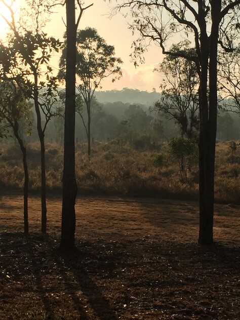 Rainforest Acreage FOR SALE. Newly Subdivided Only 10 BLOCKS (Now just 7 left). Last Freehold East Coast Blocks For Sale In North Queensland !