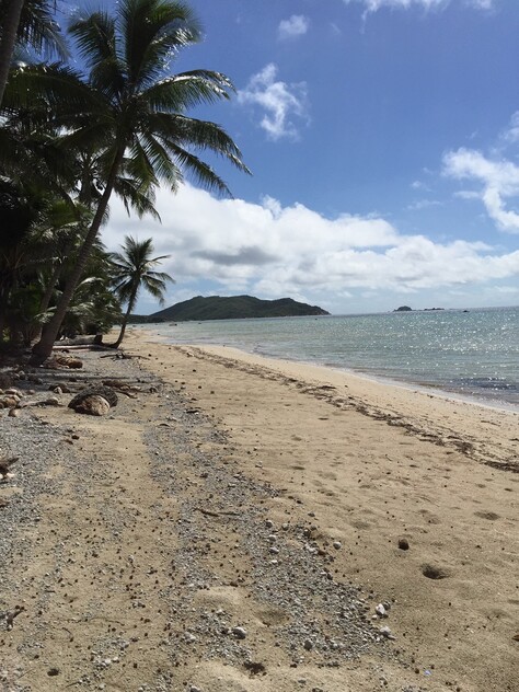 Rainforest Acreage FOR SALE. Newly Subdivided Only 10 BLOCKS (Now just 7 left). Last Freehold East Coast Blocks For Sale In North Queensland !