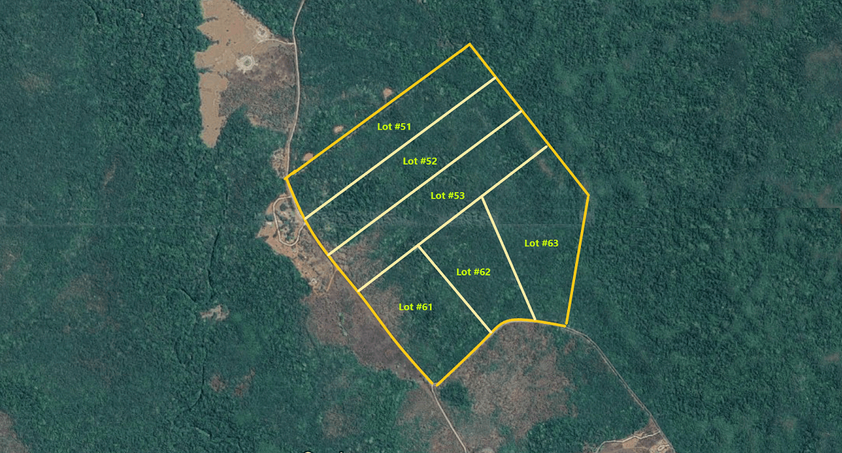 Rainforest Acreage FOR SALE. Newly Subdivided Only 10 BLOCKS (Now just 7 left). Last Freehold East Coast Blocks For Sale In North Queensland !