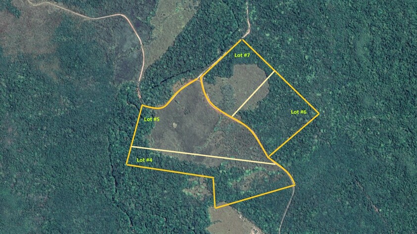 Rainforest Acreage FOR SALE. Newly Subdivided Only 10 BLOCKS (Now just 7 left). Last Freehold East Coast Blocks For Sale In North Queensland !
