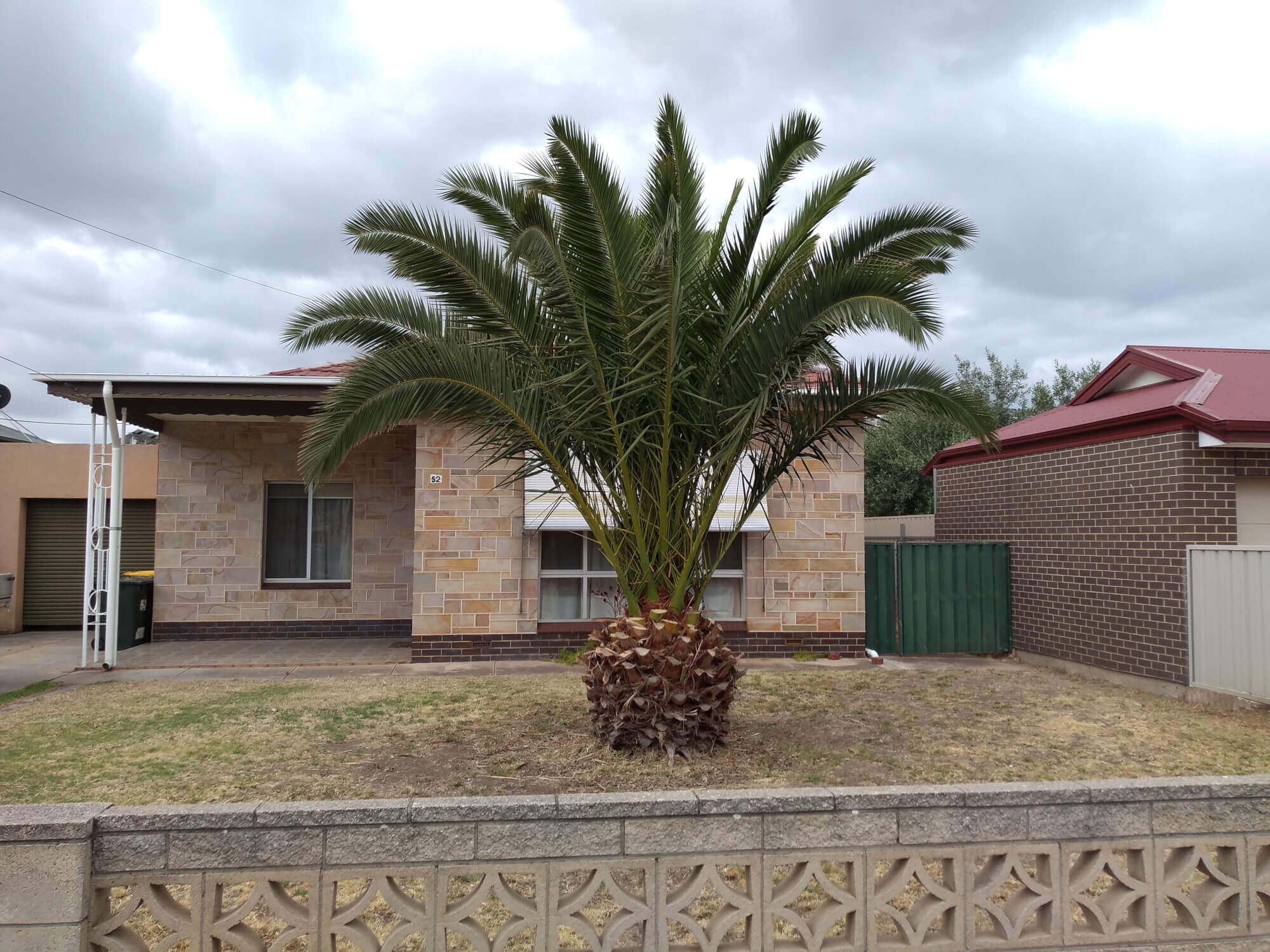52 Hayward Ave Torrensville SA 5031 House for Rent