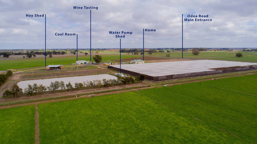 A Diverse Commercial Farm