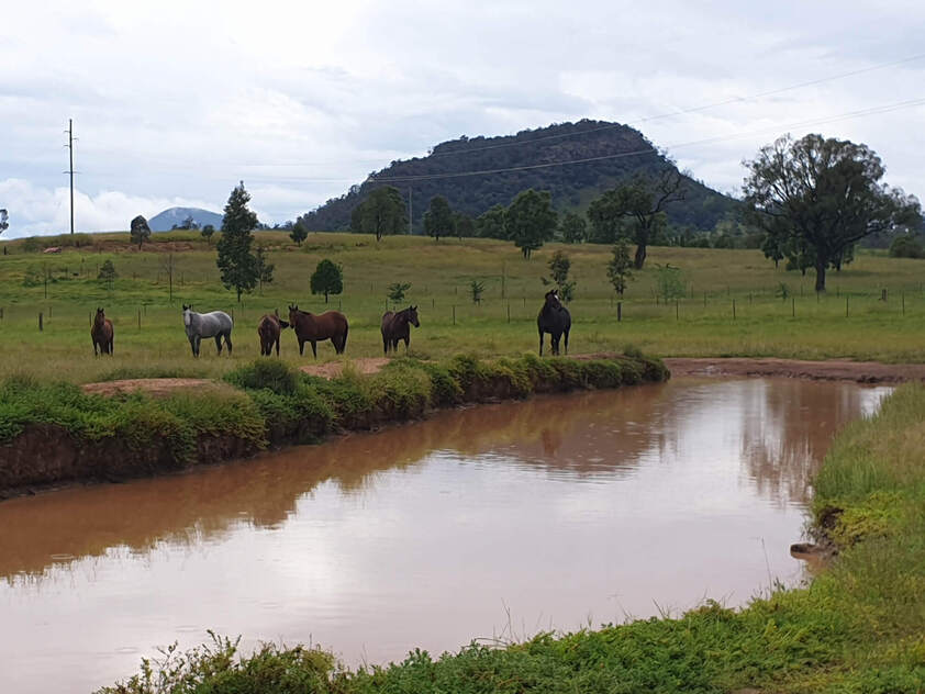 Gungal NSW Acreage Semi rural for Sold