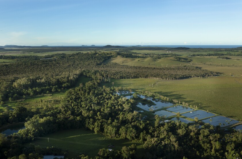 NATURE LOVERS PARADISE & BUSINESS