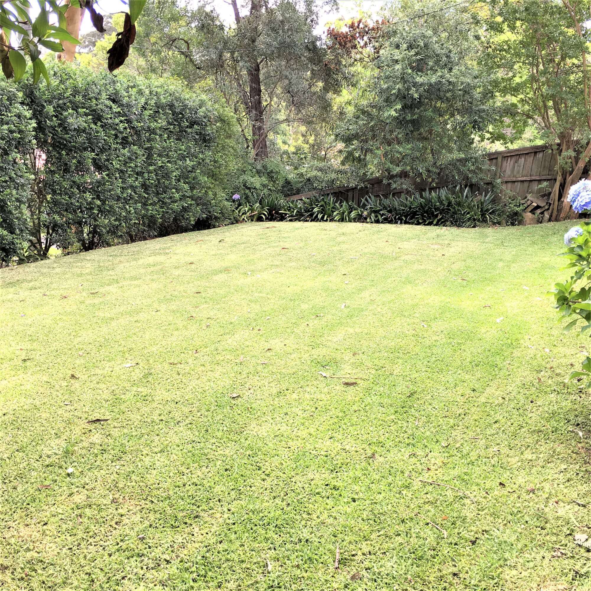 17 Larkin Street Roseville NSW 2069 House for Rent