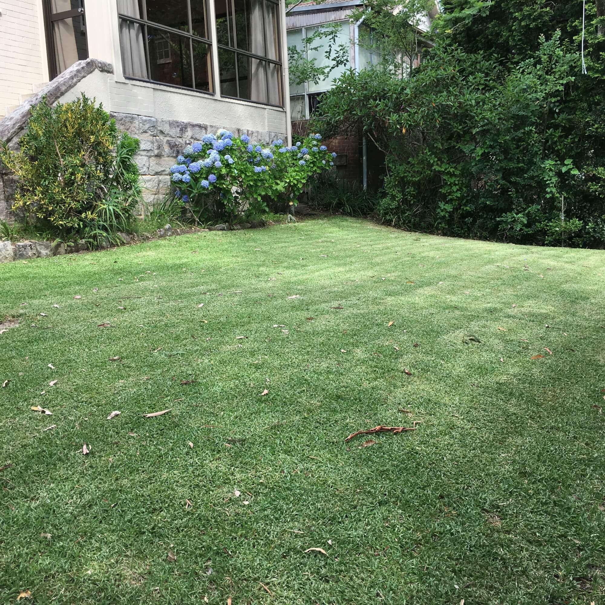 17 Larkin Street Roseville NSW 2069 House for Rent