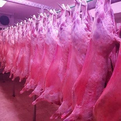 FAMOUS CAMPBELLFIELD BUTCHER FOR SALE