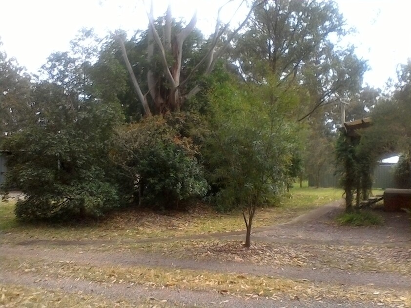 Clarence Town NSW House for Rent