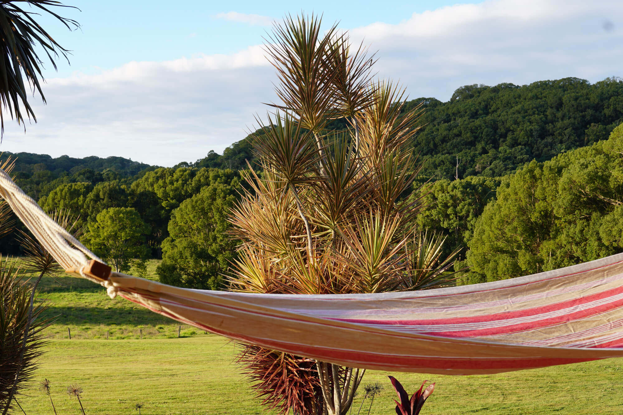 Tintenbar NSW Acreage Semi rural for Sold