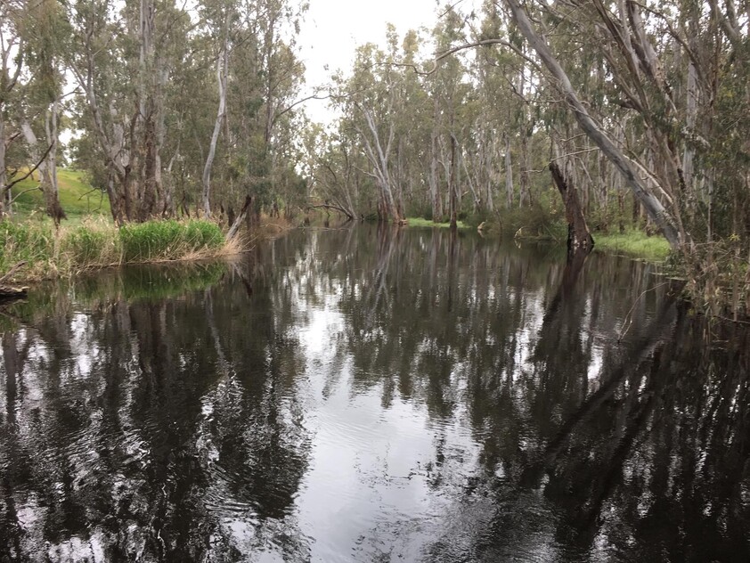 32 Livingstone Street Mathoura NSW 2710 / Tourism for