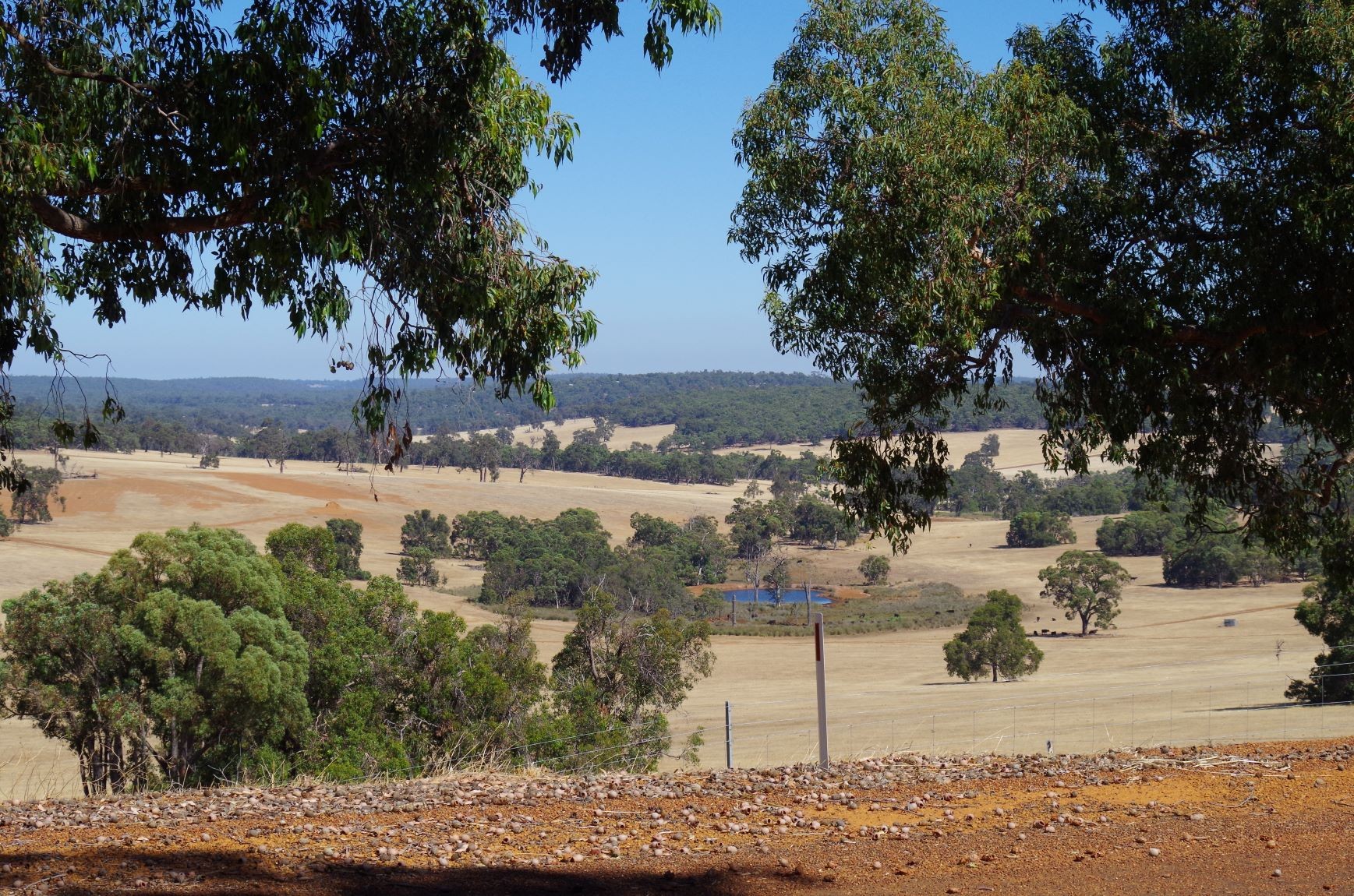 Lot 111 Cycad Crescent Wundowie WA 6560 Land for Sold