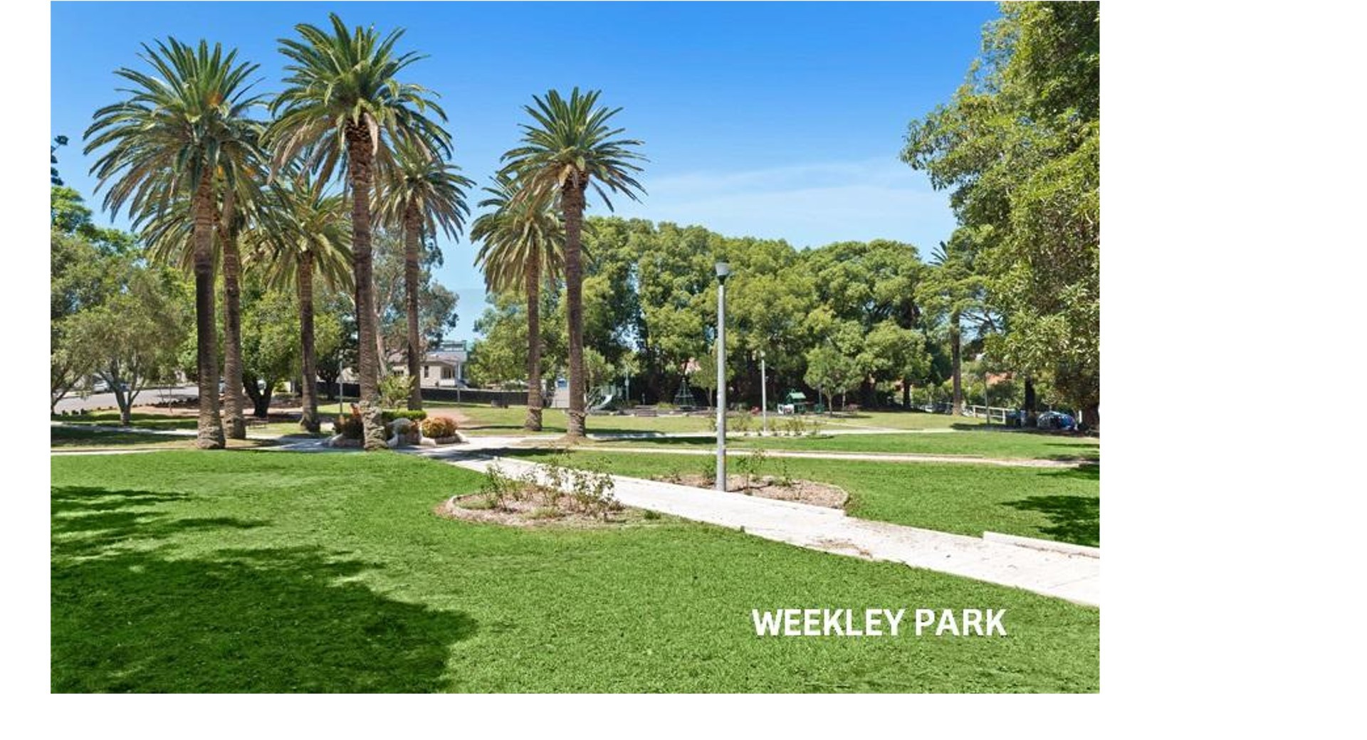 A/60 Clarendon Road Stanmore NSW 2048 Apartment for Rent