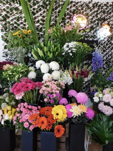 EXCELLENT FLORIST -PRICED TO SELL!!!!!!!