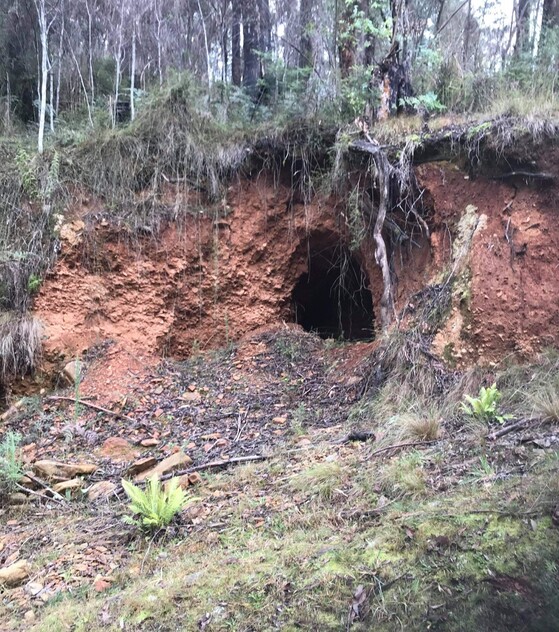 7522 MansfieldWoods Point Road Gaffneys Creek VIC 3723 Lifestyle for