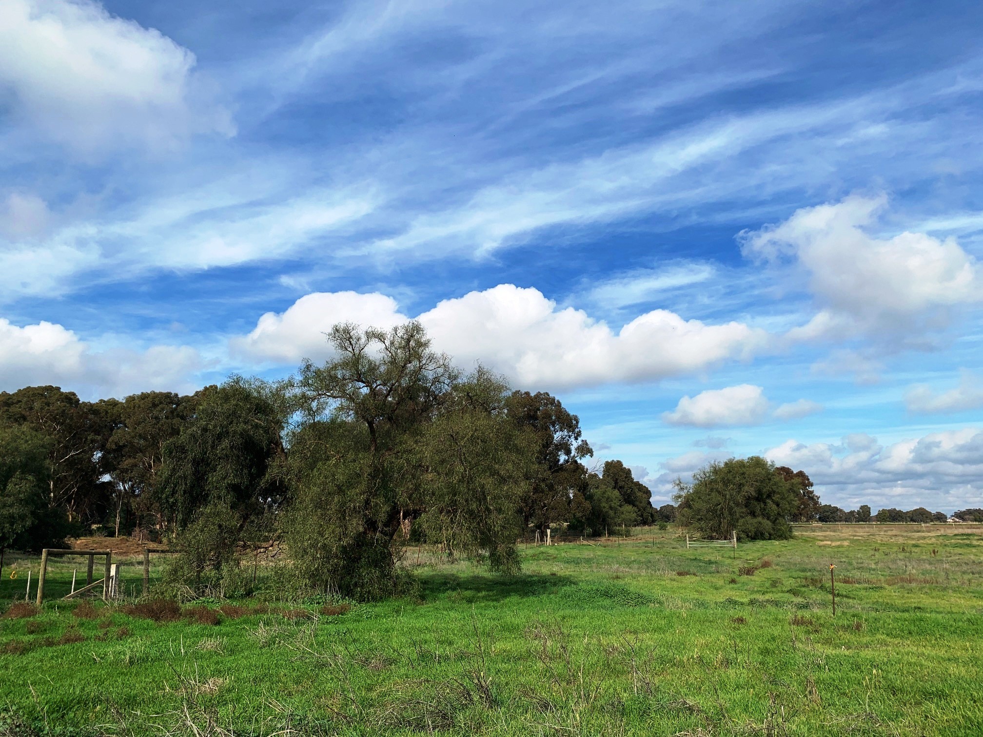 893 Yalca Church Road Yalca VIC 3637 Land for Sold