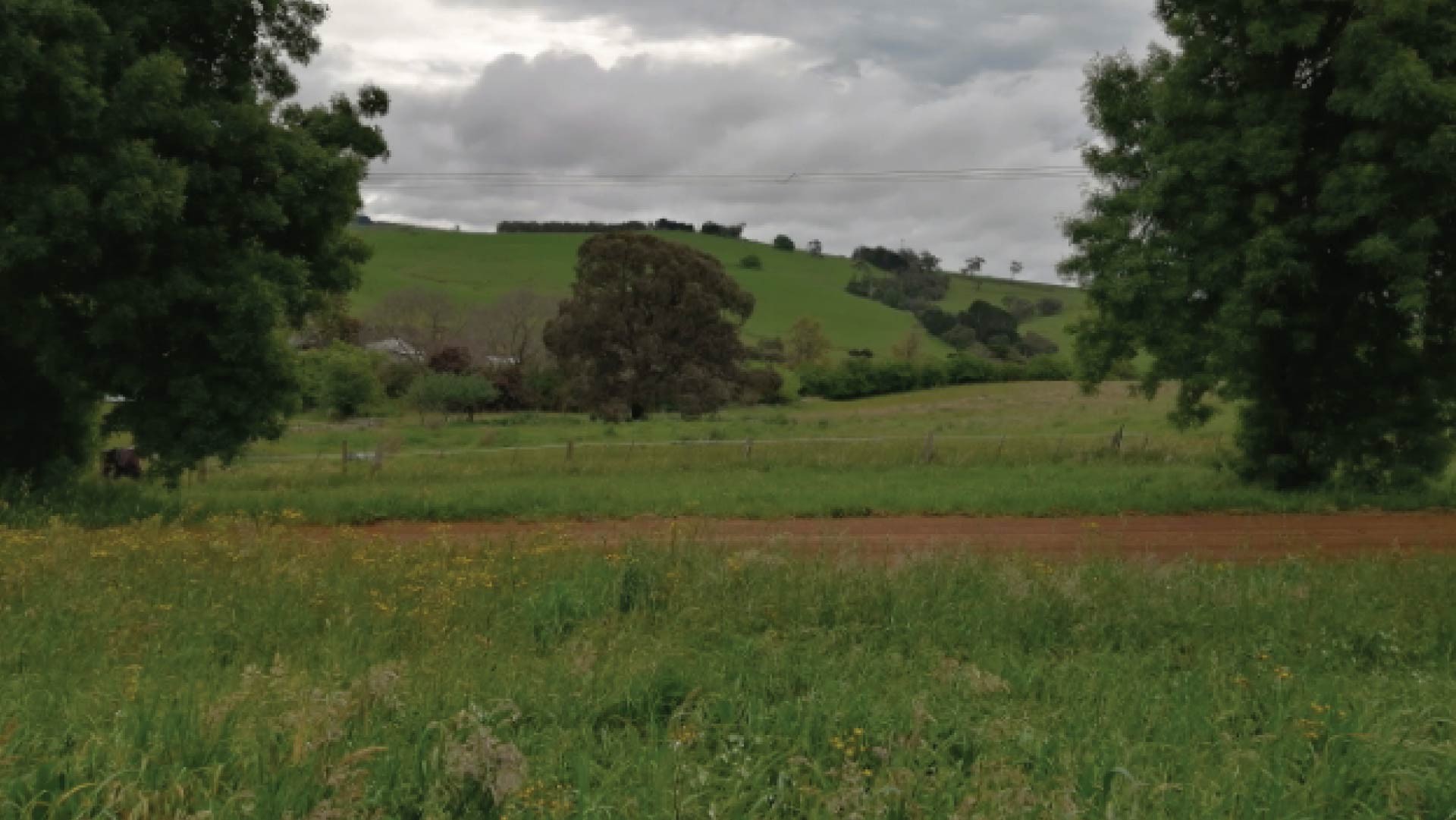 76 Annesley Street Merino VIC 3310 Land for Sold