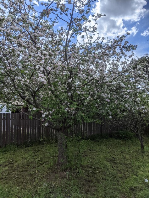 Convenient, Private and plenty of room for Outside Living