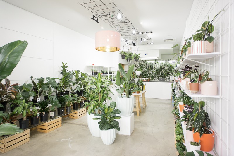 56 SQM Retail Gem in Ebenezer Place - East End