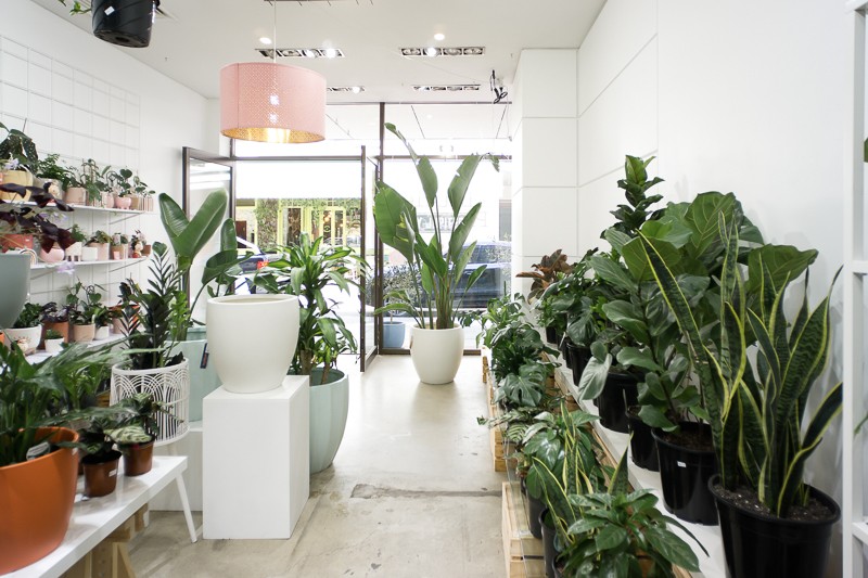 56 SQM Retail Gem in Ebenezer Place - East End