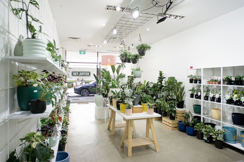 56 SQM Retail Gem in Ebenezer Place - East End