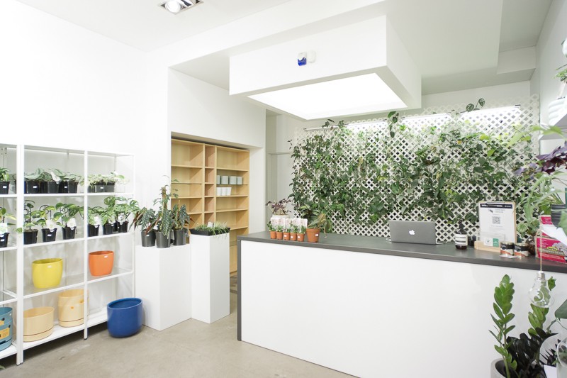 56 SQM Retail Gem in Ebenezer Place - East End
