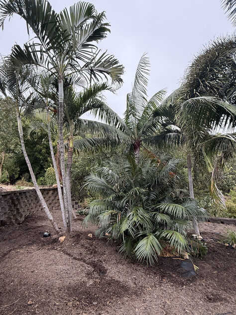NEW LISTING!! Beautiful Large Block of Land 1326m2, excavated, Stunning Views of estate, Sea Views ! Sunny Townsville