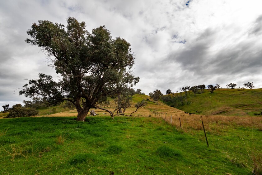 Hume Weir Views With An Easterly Aspect... Your chance to call Ebden home!!!