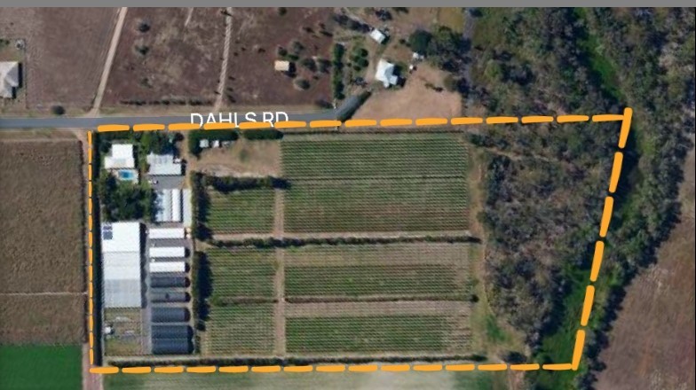 MIXED BUSINESS - PLANT NURSERY - FARM CURRENTLY USED FOR PASSIONFRUIT - 14 ACRE (TWO TITLES) - 10-15 MINUTES FROM BUNDABERG