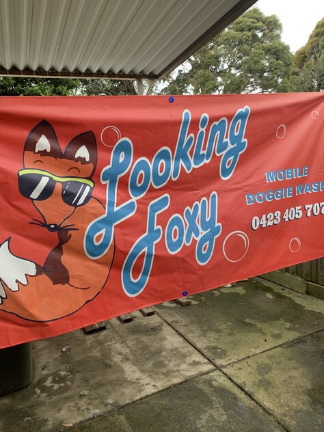 READY MADE MOBILE DOGGIE WASH – READY FOR YOU TO TAKE OVER SE SUBURBS