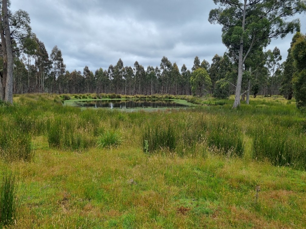 1652 Dennistoun Road Bothwell TAS 7030 Mixed Farming for Sold owner