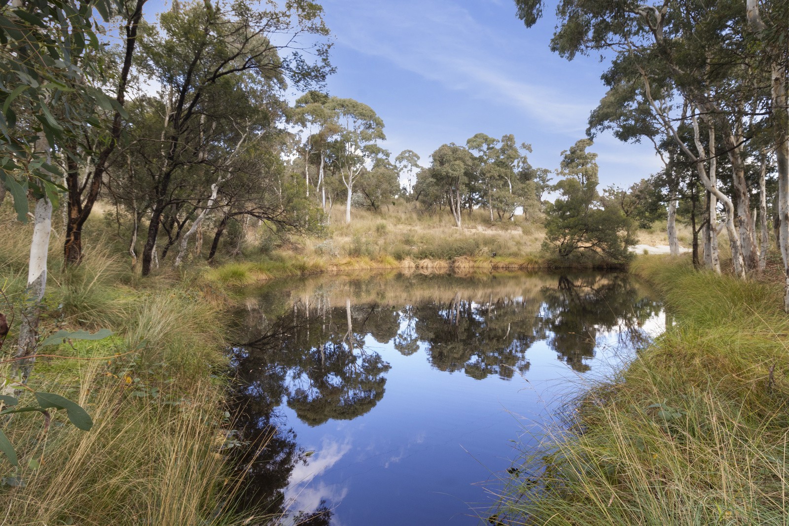 1555 Burra rd Burra NSW 2620 Acreage Semi rural for Sold