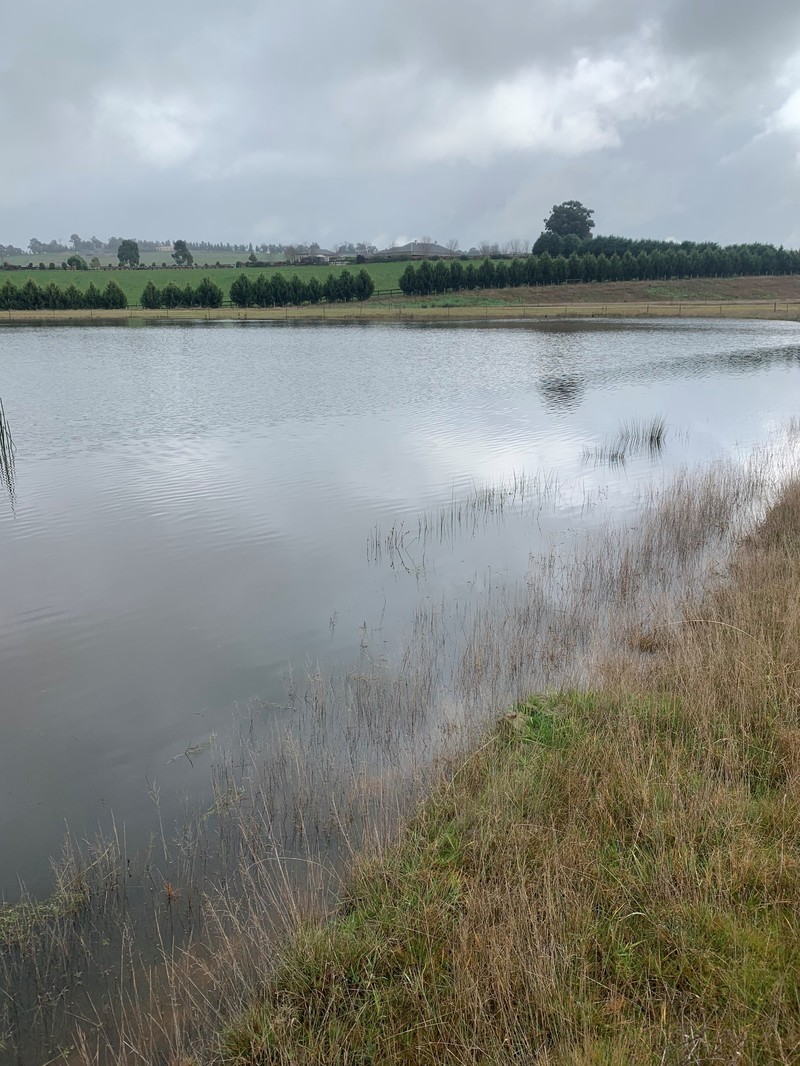 20 Springfield Road Gruyere VIC 3770 Acreage Semi rural for Sale