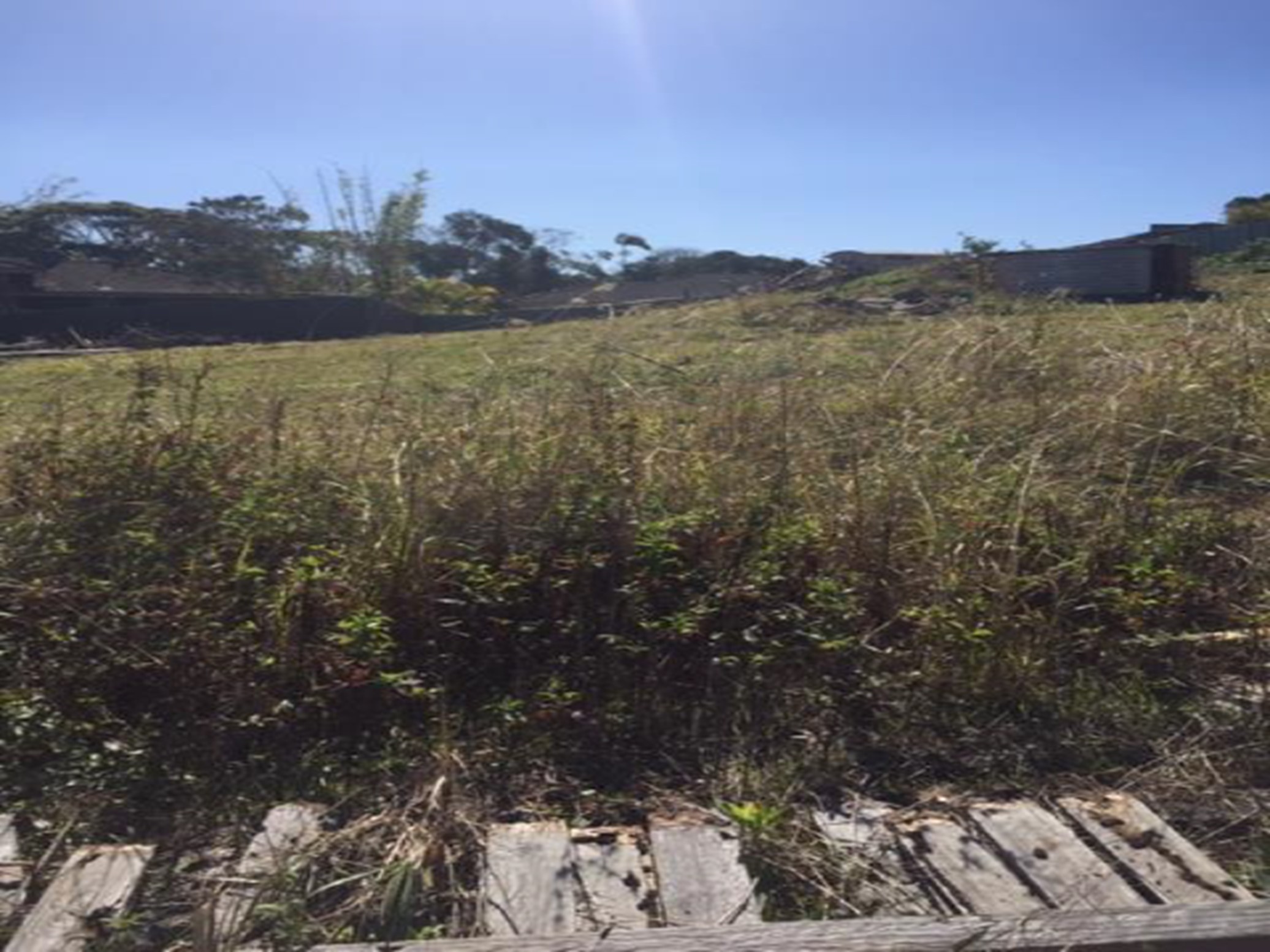 11 Gurra Place in Shelly Beach area Port Macquarie NSW 2444 Land for