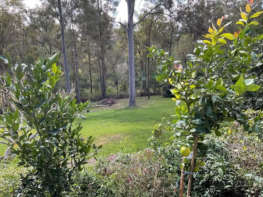 Cedar Vale QLD House for Sale