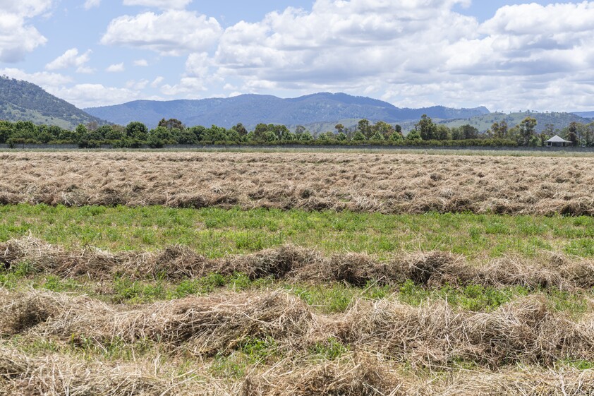 1068 Segenhoe Road Scone NSW 2337 Land for Sale