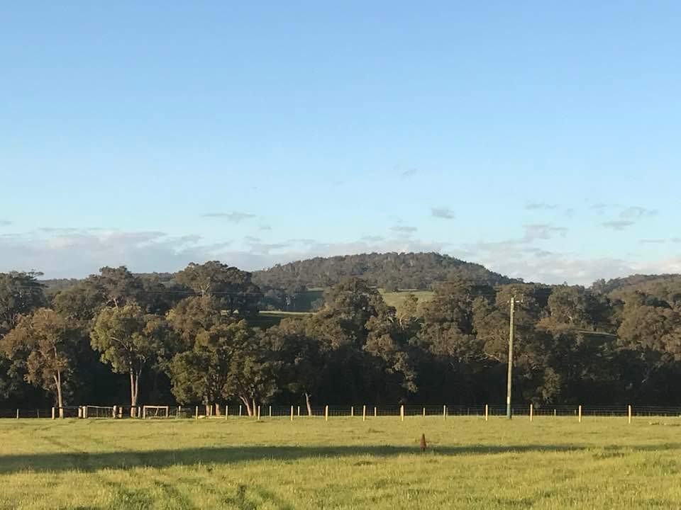 Lot 205 Nanga Brook rd Waroona WA 6215 Land for Sold