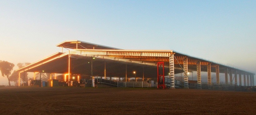 Southern Regional Livestock Exchange (SRLX) Moss Vale available For Lease - Expressions of Interest are Welcome