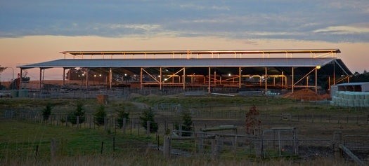 Southern Regional Livestock Exchange (SRLX) Moss Vale available For Lease - Expressions of Interest are Welcome