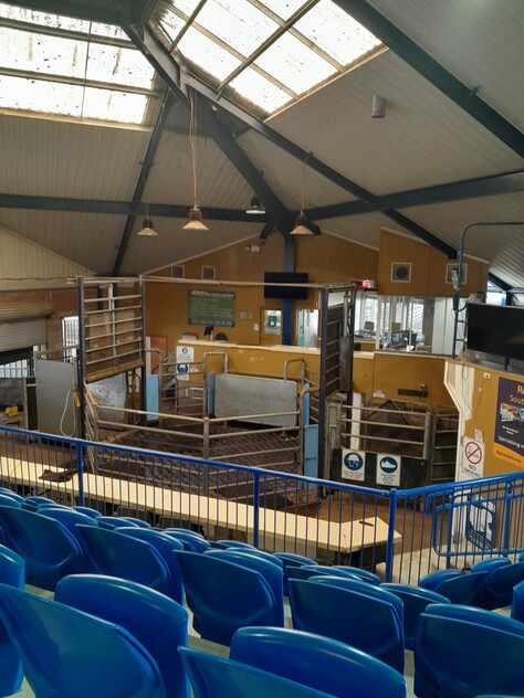 Southern Regional Livestock Exchange (SRLX) Moss Vale available For Lease - Expressions of Interest are Welcome