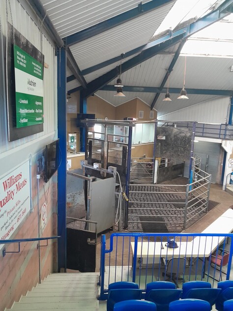 Southern Regional Livestock Exchange (SRLX) Moss Vale available For Lease - Expressions of Interest are Welcome