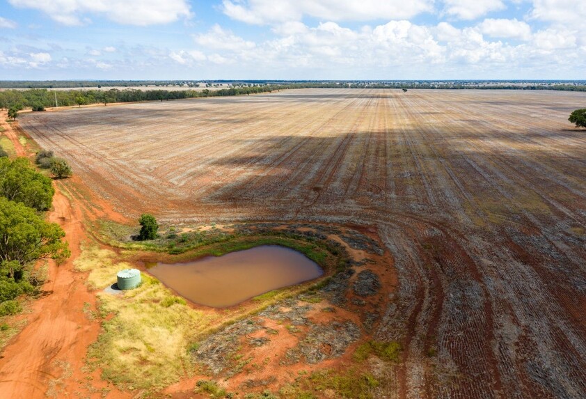 4669 Tabratong Crossing Road Tottenham NSW 2873 Cropping for Sale