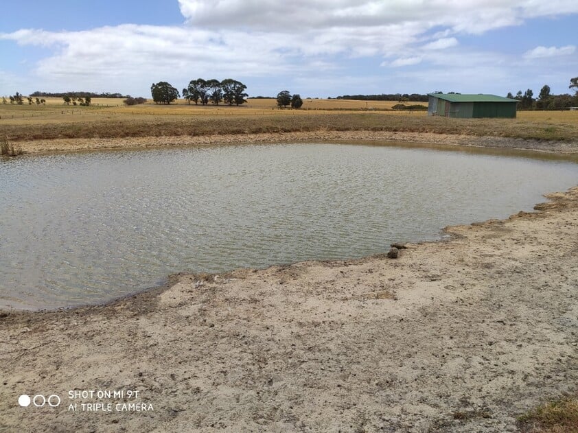 151 ACRES OF PRIME FARMLAND ON UNDULATING BLOCK