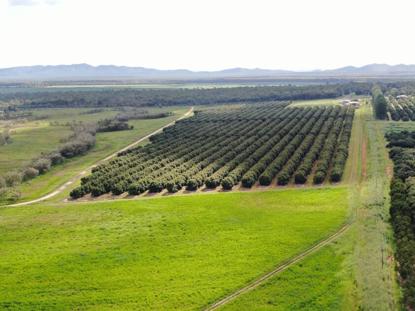 ARRIGA, MAREEBA 4880 QLD