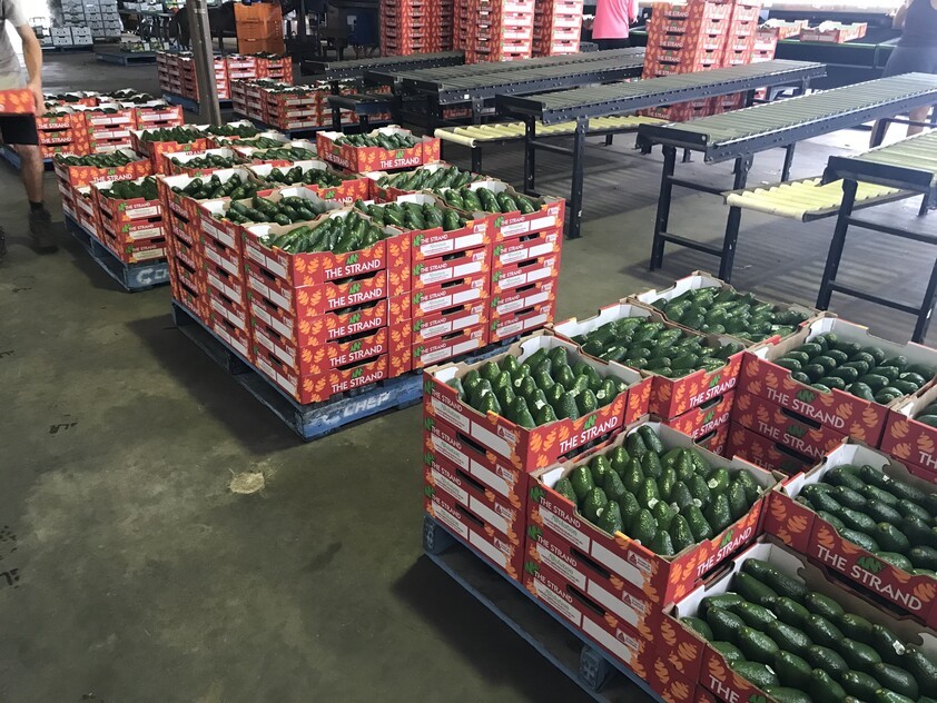 ARRIGA, MAREEBA 4880 QLD