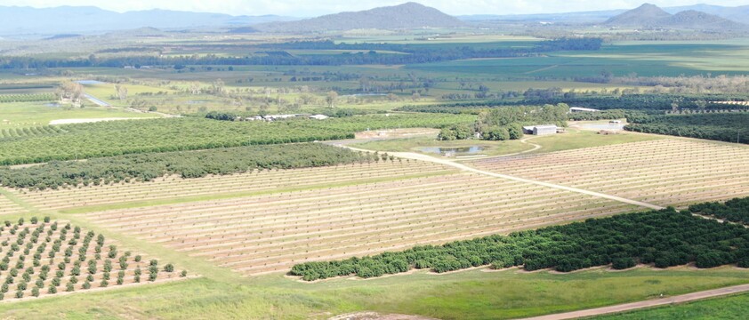 3 ADJOINING FARMS, ARRIGA, MAREEBA, FAR NORTH QUEENSLAND