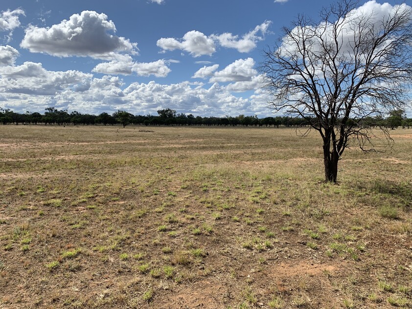 Charleville QLD Mixed Farming for Sale