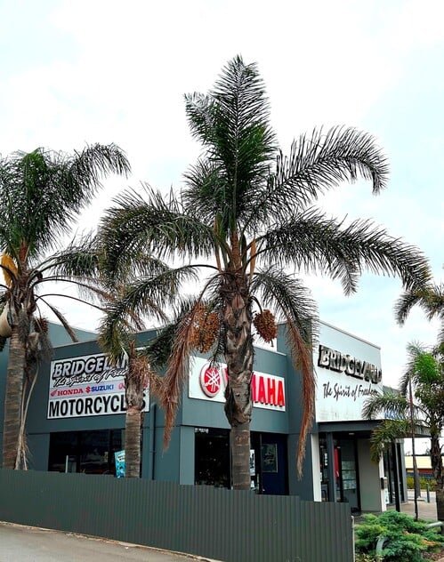 FREEHOLD PREMISES IN PROMINENT POSITION WITH SOLID MOTORCYCLE DEALERSHIP BUSINESS