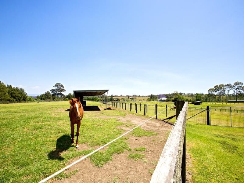 SUPERB EQUESTRIAN COMPLEX FOR LEASE - LONG LEASE AVAILABLE