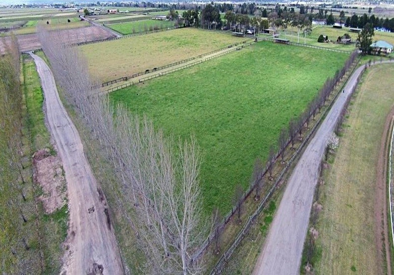 SUPERB EQUESTRIAN COMPLEX FOR LEASE - LONG LEASE AVAILABLE